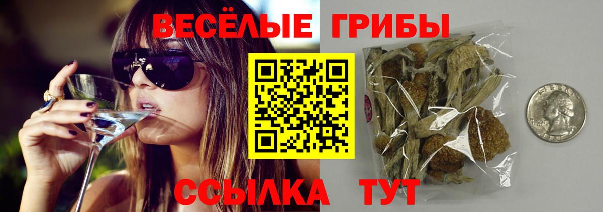 Псилоцибиновые грибы Psilocybine cubensis  Вход с VPN  Псилоцибиновые грибы Psilocybe  Благодарный 